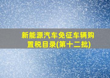 新能源汽车免征车辆购置税目录(第十二批)