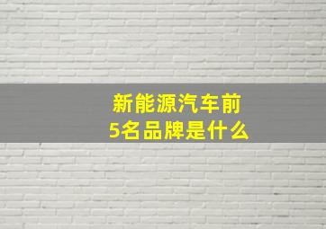 新能源汽车前5名品牌是什么