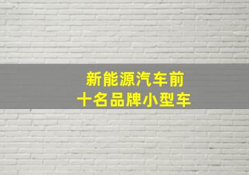 新能源汽车前十名品牌小型车