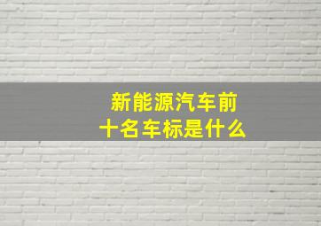 新能源汽车前十名车标是什么