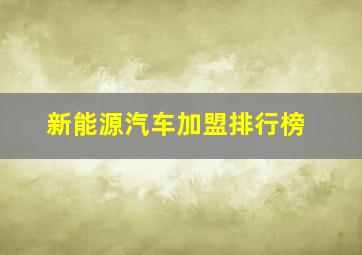 新能源汽车加盟排行榜