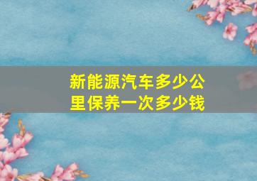 新能源汽车多少公里保养一次多少钱