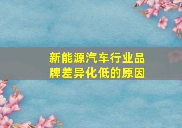 新能源汽车行业品牌差异化低的原因