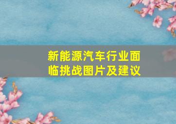 新能源汽车行业面临挑战图片及建议