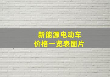 新能源电动车价格一览表图片