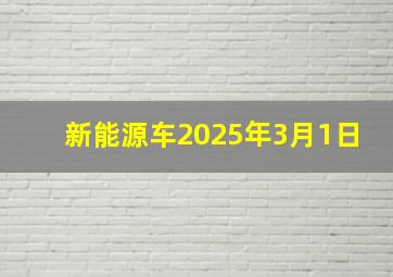 新能源车2025年3月1日