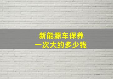 新能源车保养一次大约多少钱