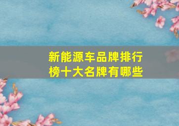 新能源车品牌排行榜十大名牌有哪些