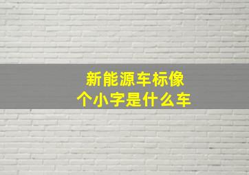 新能源车标像个小字是什么车