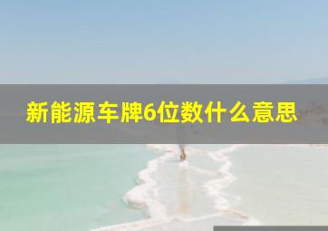 新能源车牌6位数什么意思