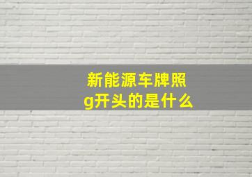 新能源车牌照g开头的是什么