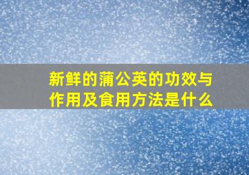 新鲜的蒲公英的功效与作用及食用方法是什么