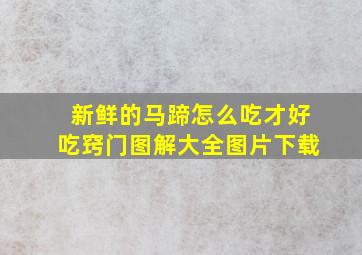 新鲜的马蹄怎么吃才好吃窍门图解大全图片下载