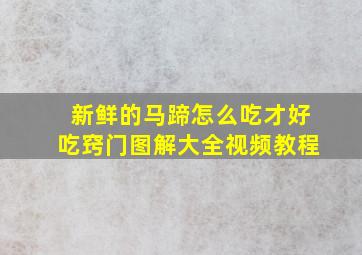 新鲜的马蹄怎么吃才好吃窍门图解大全视频教程