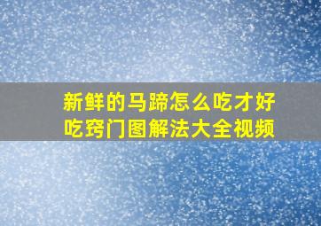 新鲜的马蹄怎么吃才好吃窍门图解法大全视频