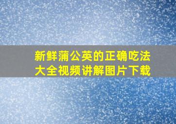 新鲜蒲公英的正确吃法大全视频讲解图片下载