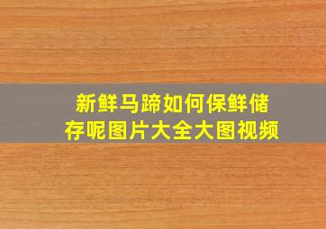 新鲜马蹄如何保鲜储存呢图片大全大图视频