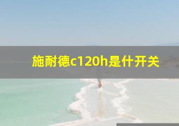 施耐德c120h是什开关