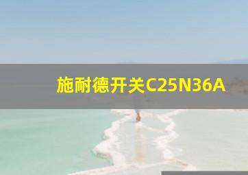 施耐德开关C25N36A