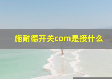 施耐德开关com是接什么