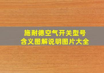 施耐德空气开关型号含义图解说明图片大全