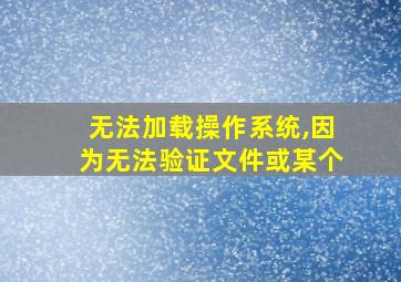 无法加载操作系统,因为无法验证文件或某个