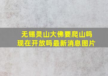 无锡灵山大佛要爬山吗现在开放吗最新消息图片