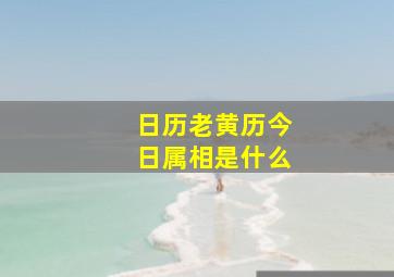 日历老黄历今日属相是什么