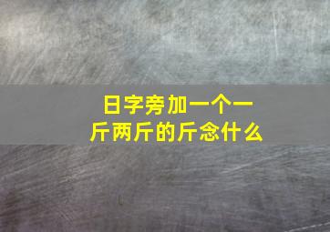 日字旁加一个一斤两斤的斤念什么