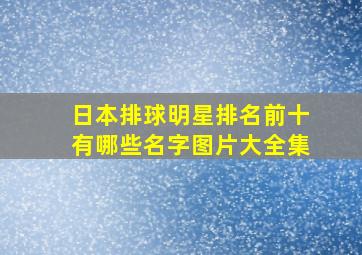 日本排球明星排名前十有哪些名字图片大全集