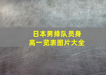 日本男排队员身高一览表图片大全