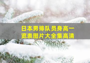 日本男排队员身高一览表图片大全集高清