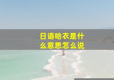 日语哈衣是什么意思怎么说