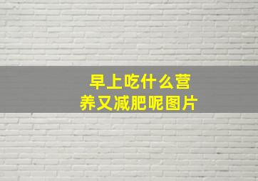 早上吃什么营养又减肥呢图片