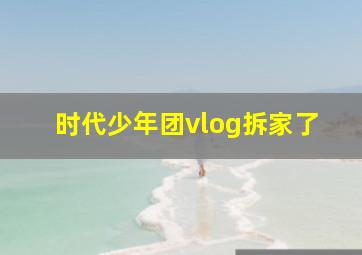 时代少年团vlog拆家了