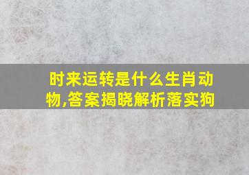 时来运转是什么生肖动物,答案揭晓解析落实狗