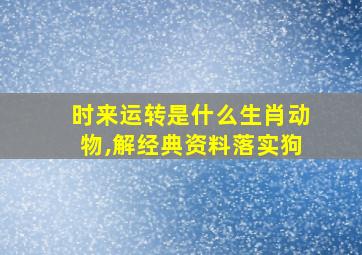 时来运转是什么生肖动物,解经典资料落实狗