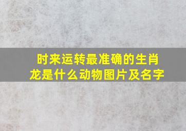 时来运转最准确的生肖龙是什么动物图片及名字