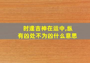 时逢吉神在运中,纵有凶处不为凶什么意思