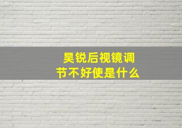 昊锐后视镜调节不好使是什么