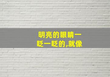 明亮的眼睛一眨一眨的,就像