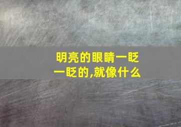 明亮的眼睛一眨一眨的,就像什么