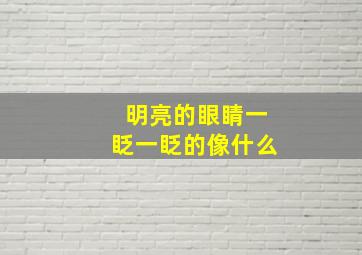 明亮的眼睛一眨一眨的像什么