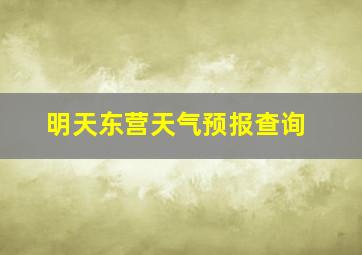 明天东营天气预报查询