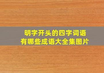 明字开头的四字词语有哪些成语大全集图片