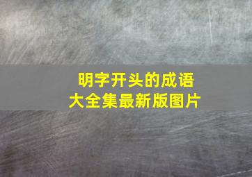 明字开头的成语大全集最新版图片