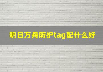 明日方舟防护tag配什么好