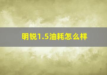 明锐1.5油耗怎么样