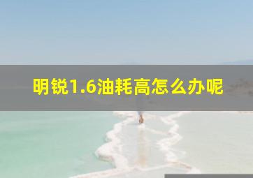 明锐1.6油耗高怎么办呢