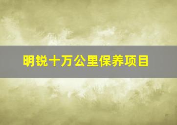 明锐十万公里保养项目